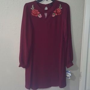 Brand new ling sleeve dress